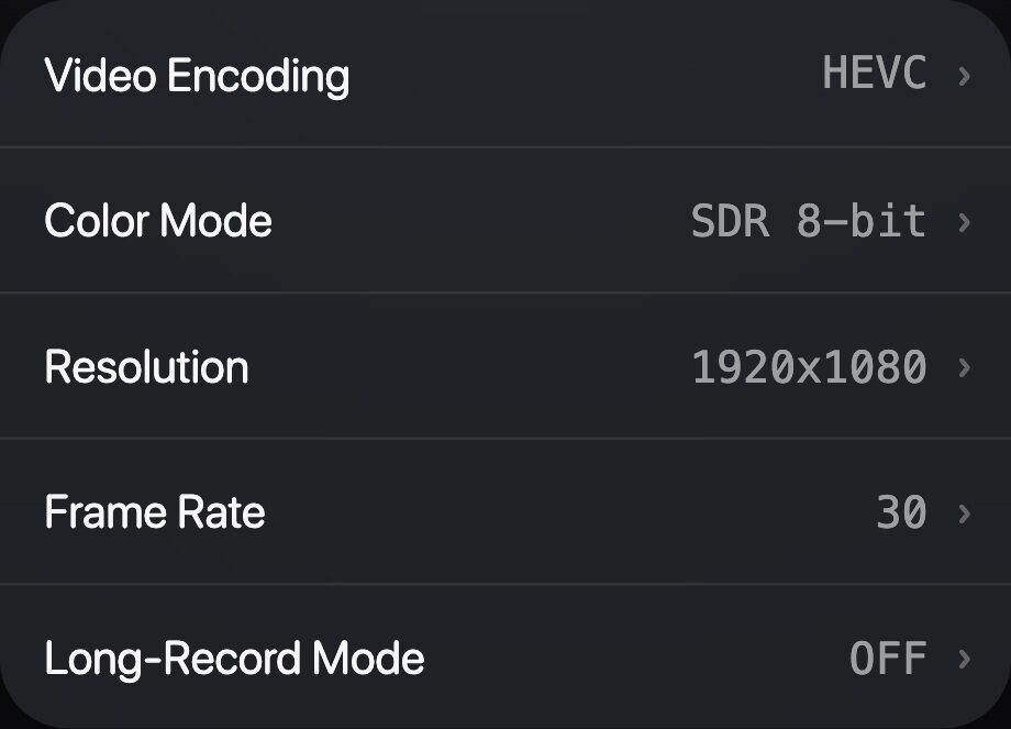 The VIDEO FORMAT section at the top of the Settings list.